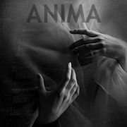 anima-johanna-knauer-galerie-sw-portraits